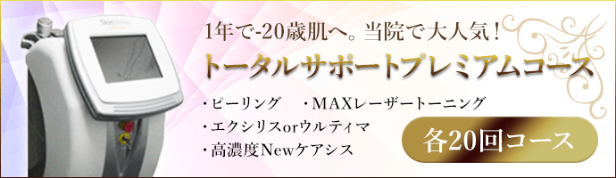 トータルサポートプレミアムコース 各20回コース