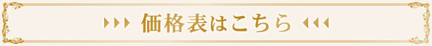 価格表はこちらのデータをご覧ください