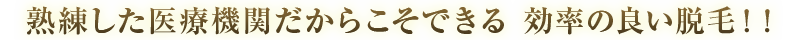熟練した医療機関だからこそできる　効率の良い脱毛！！
