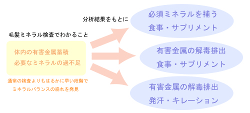 毛髪ミネラル検査の図