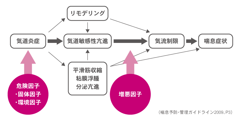 喘息発症・増悪のメカニズムの図